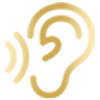 Image icon