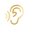 Image icon
