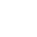 Image icon