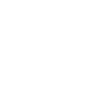 Image icon