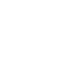 Image icon