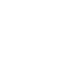 Image icon