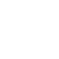 Image icon