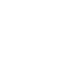 Image icon